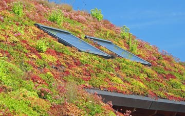 Pottersheath living roof systems